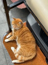 -GN概念烫染沙龙