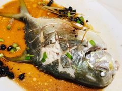 豆豉姜丝蒸风味金鲳鱼-稻香迎囍皇宫(港惠店)