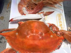 螃蟹（飞蟹）-乔哥铭洋海鲜自助(皇城恒隆广场店)