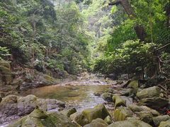 -鼎湖山风景区