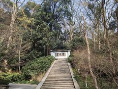 -虎跑公园
