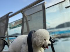 -仙海旅游度假区