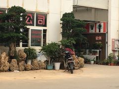 -龙大花卉苗木市场