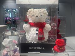 -ROSEONLY诺誓(国际广场购物中心店)