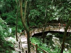 -大岭沟猕猴桃谷风景区