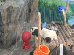 -青藏高原野生动物园