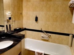 -新加坡富丽华河畔大酒店(SG Clean)