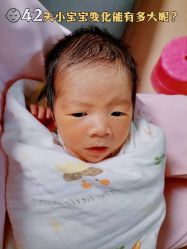 -爱贝乐妈咪月子中心