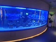 -上和臻品中国菜(花园街店)