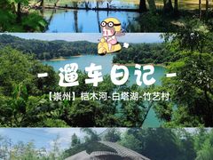 -桤木河湿地公园