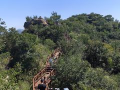 -大岭沟猕猴桃谷风景区