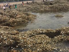 -日照灯塔风景区