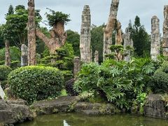 -深圳仙湖植物园