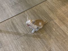 -WATER CAFE(广厦店)