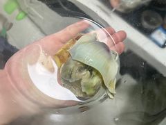 -盒马鲜生(顺义店)