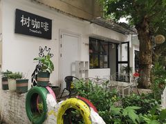 -树咖啡tree coffee