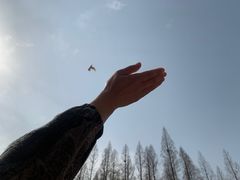 -音乐台