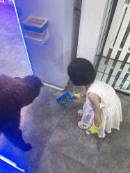 -神奇动物撸宠馆·羊驼·小浣熊·异宠(豫园店)