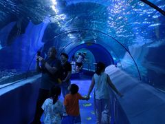 -太平洋海底世界