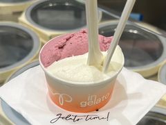 -Dip in Gelato(富民路店)