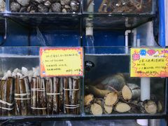 -蚝专家(北滘店)