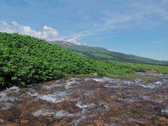 -新疆那拉提国家旅游度假区