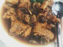 猪脚-悦林汤馆(观海店)