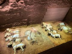 -秦始皇帝陵博物院-丽山园