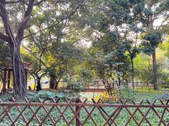 -小洲村