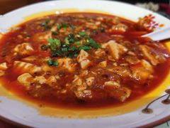 -易老妈蹄花.特色川菜(人民公园总店)