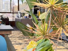 -野菌皇海景野生菌火锅(滨海大道店)