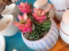 -南京维景国际大酒店(南京博物院店)