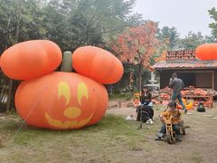 -HERRE·FARM 赫尔露营农场·团建聚会包场