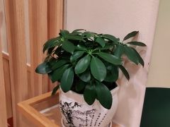 -德克士(通宝路店)