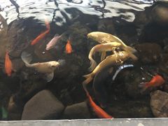 -山有花啡餐厅(常营总店)