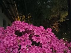 -巴黎春天(浦建店)