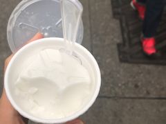 -洪馨椰子