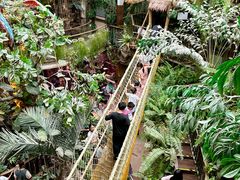 -正佳雨林生态植物园
