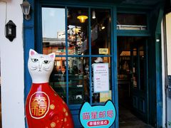 -猫咪博物馆(顶澳仔猫街店)