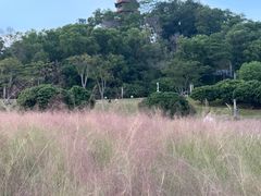 -红花山公园