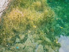 -叠溪松坪沟景区