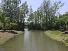 -溱湖国家湿地公园