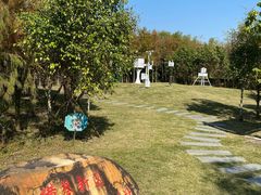 -芒洲湿地公园