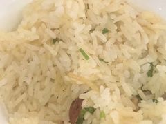 -鸽鸟轩(石岐店)