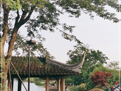 -苏州上方山国家森林公园