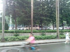 -中山大学附属第三医院(天河院区)