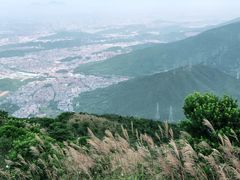 -梧桐山风景名胜区