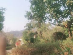 -凤翔首邑温泉度假村