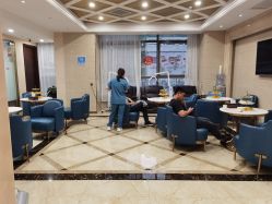 -碧莲盛·不剃发植发