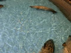 -锦艺城海洋馆